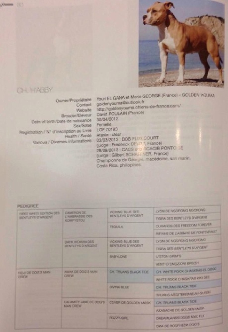 Golden Youma - Yearsbook 2013